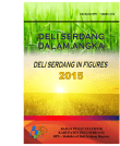 Deli Serdang In Figures 2015